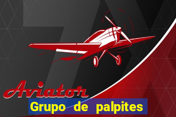 Grupo de palpites de futebol gratis